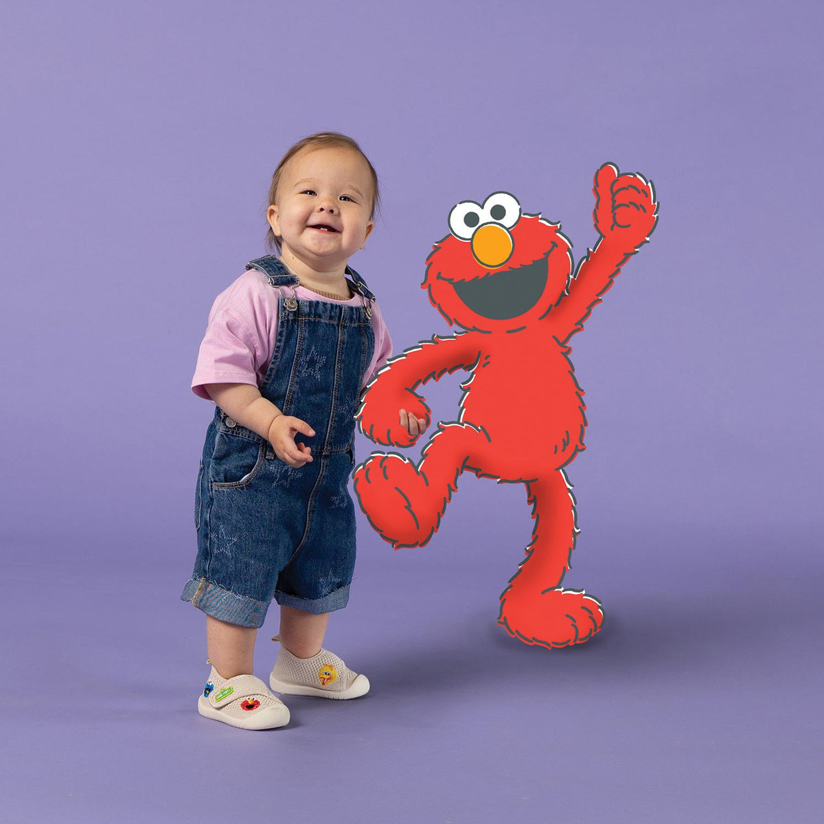 Duckies Velcro Sesame St Friends